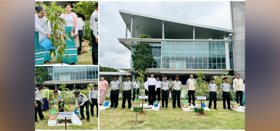 #एक_पेड़_माँ_के_नाम campaign at MIIT (07.08.24)